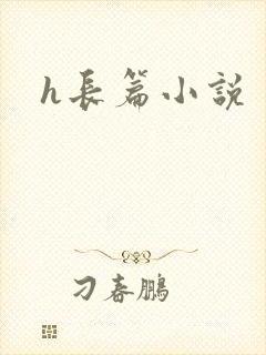 h长篇小说封面