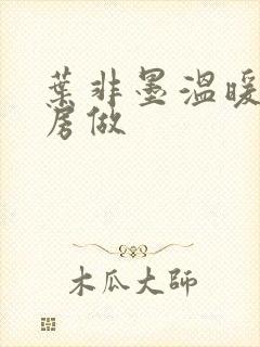 叶非墨温暖在厨房做