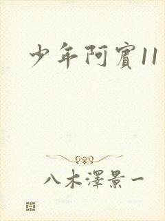 少年阿宾11