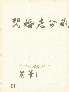 闪婚老公藏不住封面
