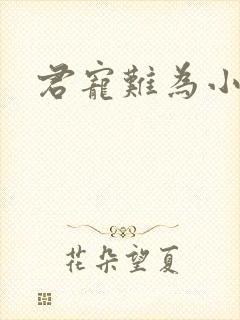 君宠难为小说封面