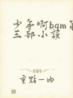 少年啊bgm第三部小说