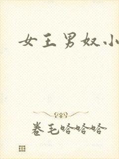 女王男奴小说