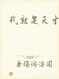 我就是天才封面