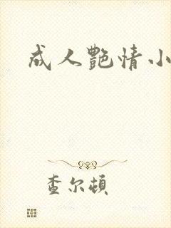 成人艳情小说