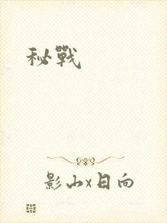 秘战