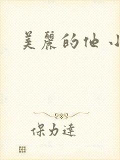 美丽的他 小说封面