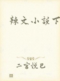 辣文小说下载