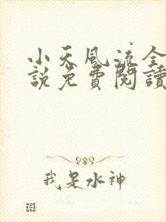 小天风流全集小说免费阅读封面