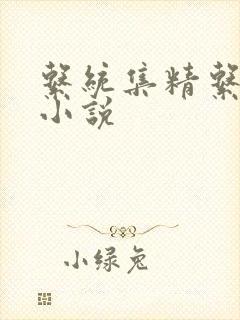 系统集精系统 小说封面