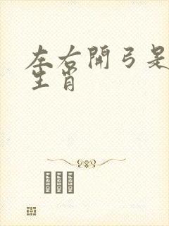 左右开弓是什么生肖