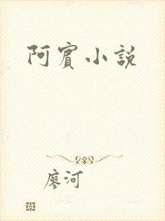 阿宾小说