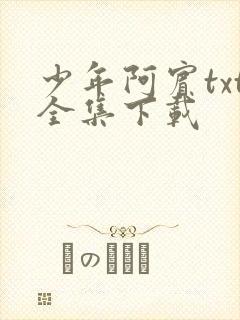 少年阿宾txt全集下载
