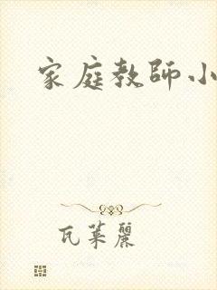 家庭教师小说