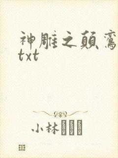 神雕之颠鸾倒凤txt