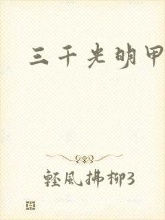 三千光明甲