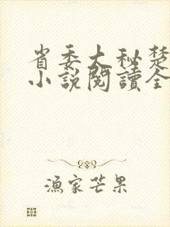 省委大秘楚东恒小说阅读全文