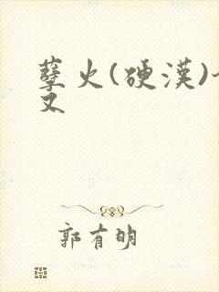 孽火(硬汉)今又