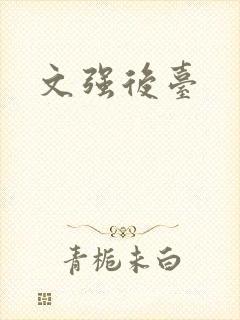 文强后台