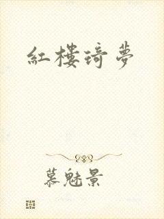 红楼琦梦封面