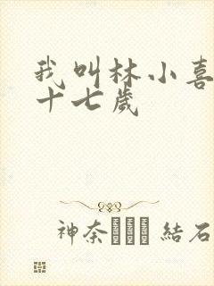 我叫林小喜今年十七岁封面