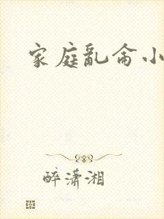 家庭乱仑小说封面