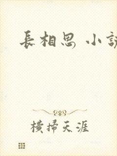 长相思 小说