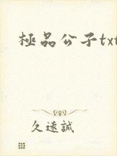 极品公子txt