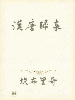 汉唐归来封面