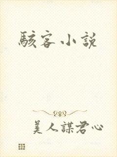 骇客小说
