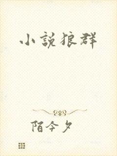 小说狼群封面