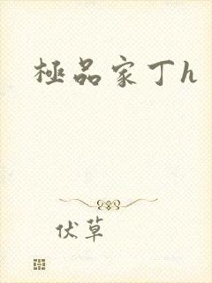 极品家丁h