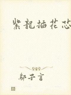 紫龙插花芯方正封面