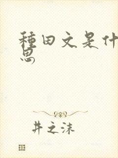 种田文是什么意思封面