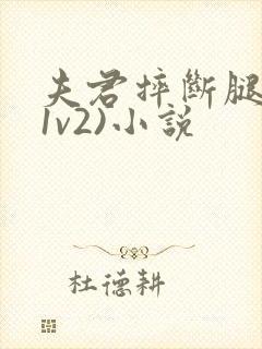 夫君摔断腿后(1v2)小说
