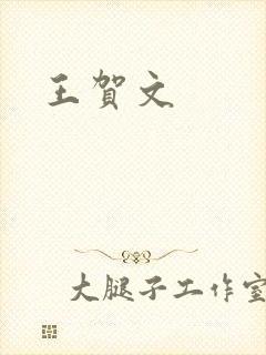 王贺文封面