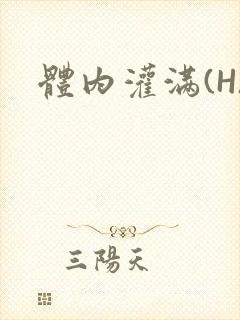 体内灌满(H)封面