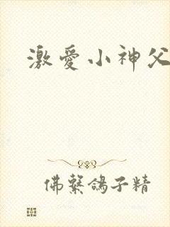 激爱小神父