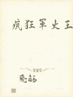 疯狂军火王