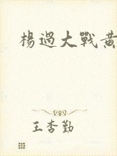 杨过大战黄蓉