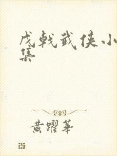 戊戟武侠小说全集封面