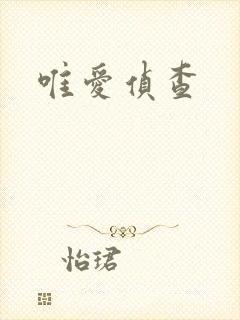 唯爱侦查