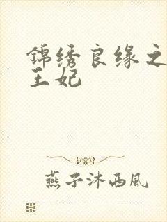 锦绣良缘之北地王妃