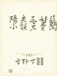 阳光正好苏玥玥小说免费阅读封面