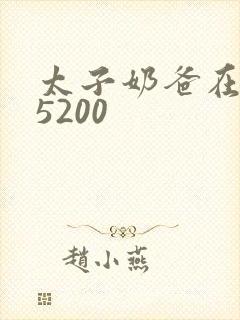 太子奶爸在花都5200