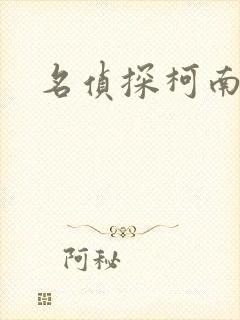 名侦探柯南h封面