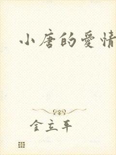 小唐的爱情史