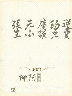 张元庆的逆袭人生小说免费阅读