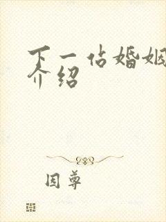 下一站婚姻剧情介绍封面