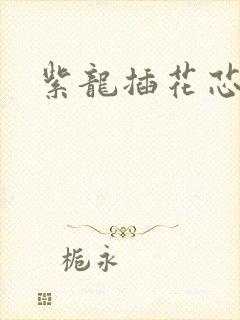紫龙插花芯方正封面